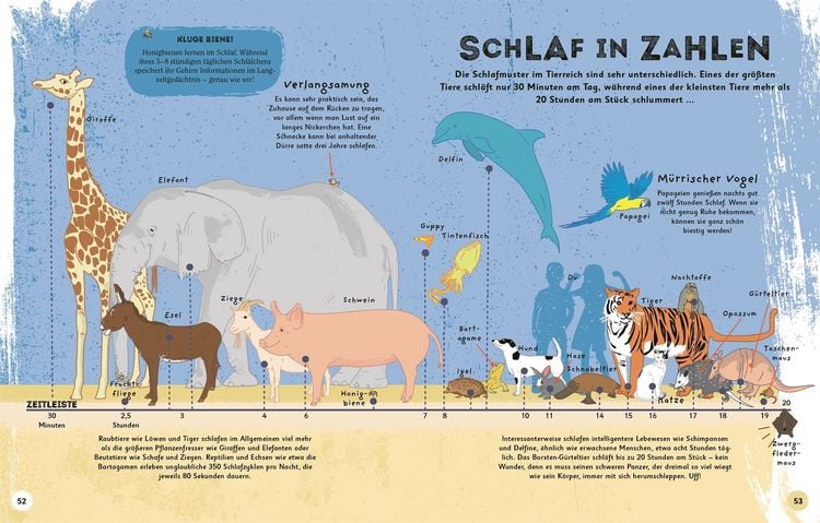 Produktbild: Alles &uuml;bers Schlafen