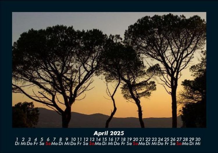 Produktbild: B&auml;ume 2025 Fotokalender DIN A5