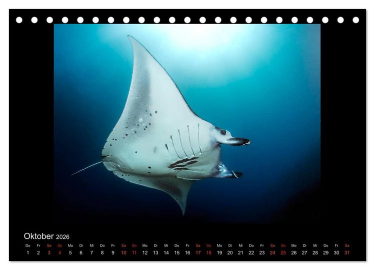 Produktbild: Ocean-Art / CH-Version (Tischkalender 2026 DIN A5 quer), CALVENDO Monatskalender