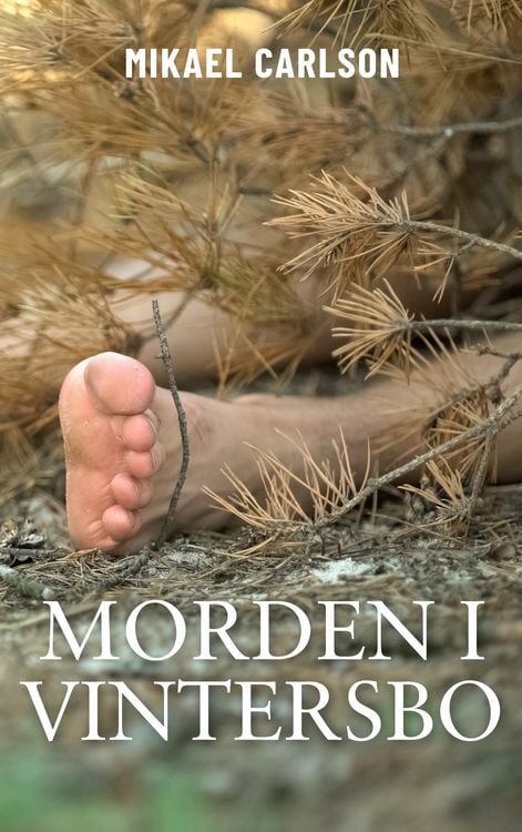 Produktbild: Morden i Vintersbo