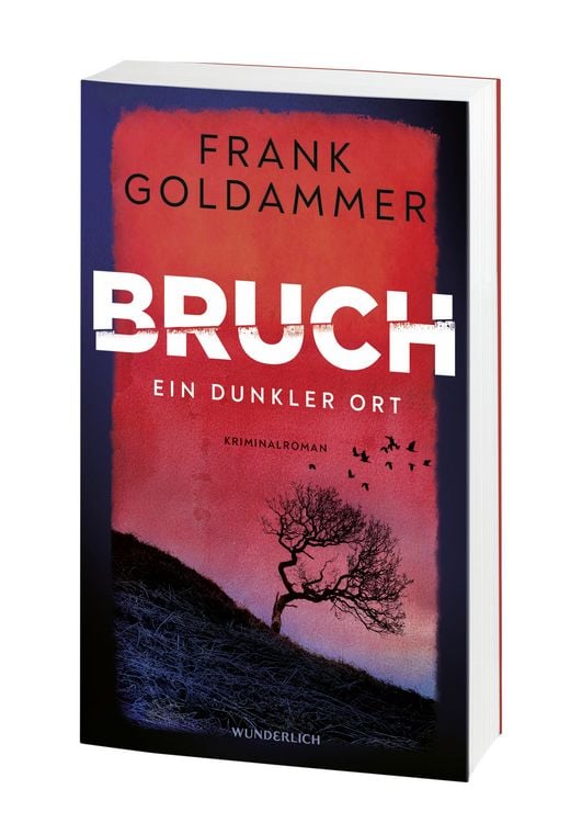 Produktbild: Bruch: Ein dunkler Ort