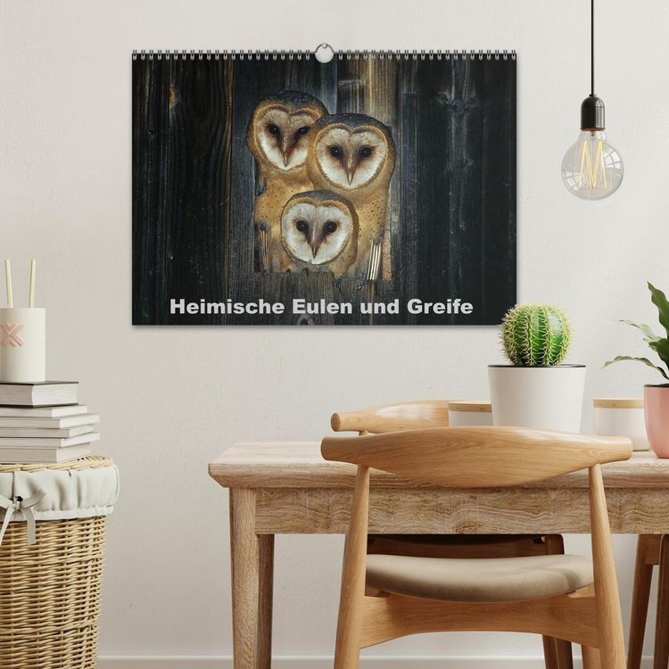 Produktbild: Heimische Eulen und Greife (Wandkalender 2026 DIN A3 quer), CALVENDO Monatskalender