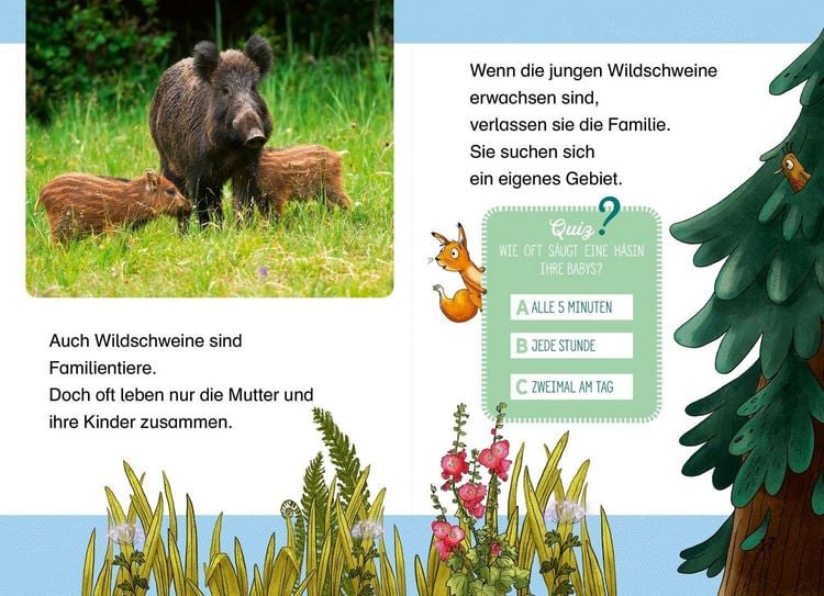 Produktbild: Komm mit uns in den Wald
