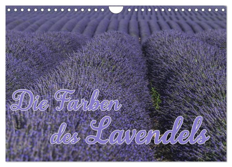 Produktbild: Die Farbe des Lavendels (Wandkalender 2026 DIN A4 quer), CALVENDO Monatskalender