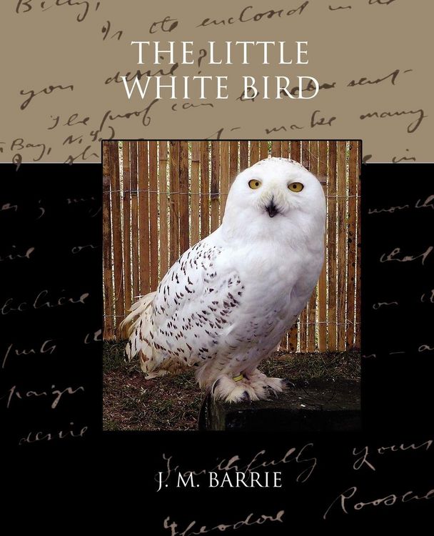Produktbild: The Little White Bird