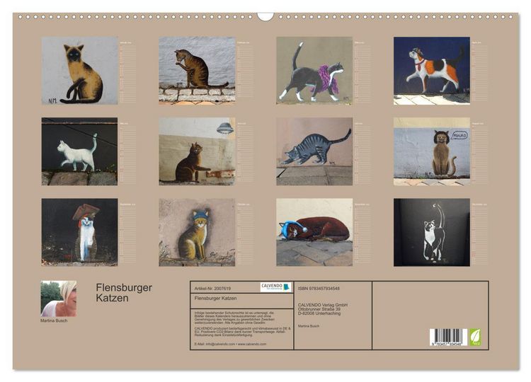Produktbild: Flensburger Katzen (Wandkalender 2026 DIN A2 quer), CALVENDO Monatskalender