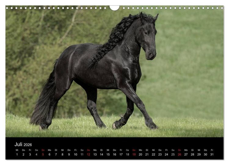 Produktbild: Friesen - Sch&ouml;nheit, Kraft und Eleganz (Wandkalender 2026 DIN A3 quer), CALVENDO Monatskalender