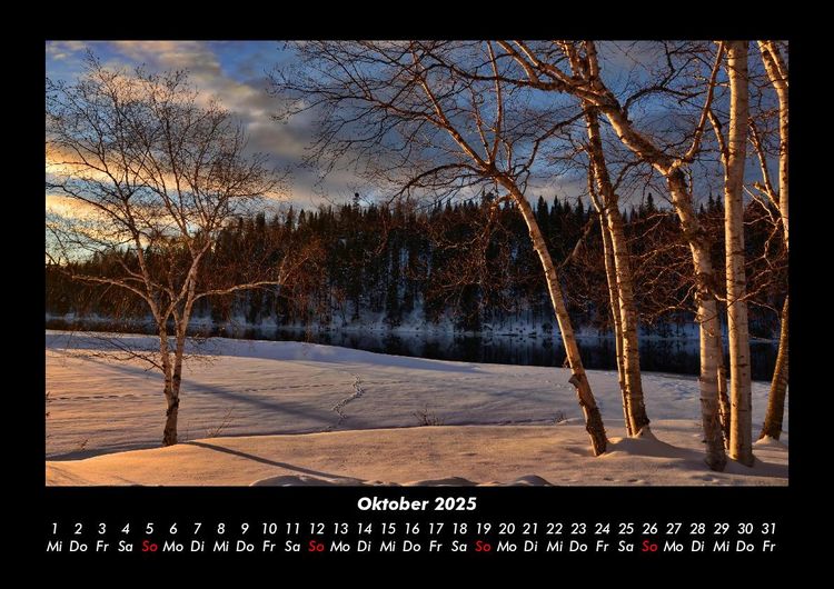 Produktbild: B&auml;ume 2025 Fotokalender DIN A3