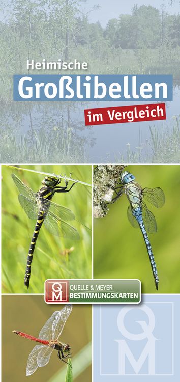 Produktbild: Heimische Gro&szlig;libellen im Vergleich