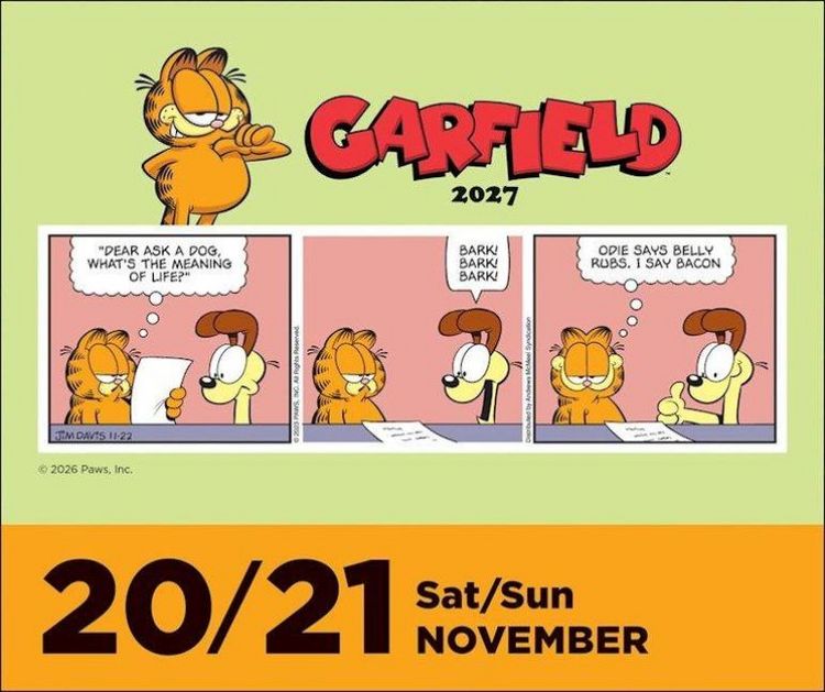 Produktbild: Garfield 2027