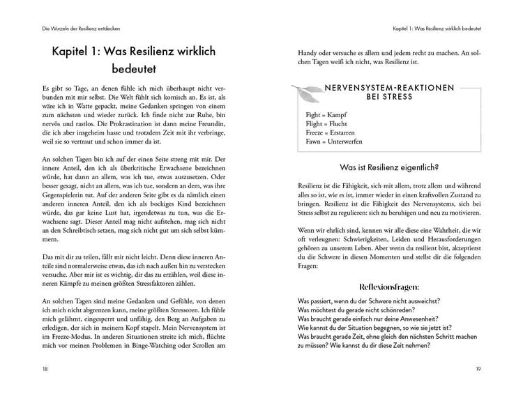 Produktbild: Spirituelle Resilienz &ndash; Gelassen Herausforderungen begegnen