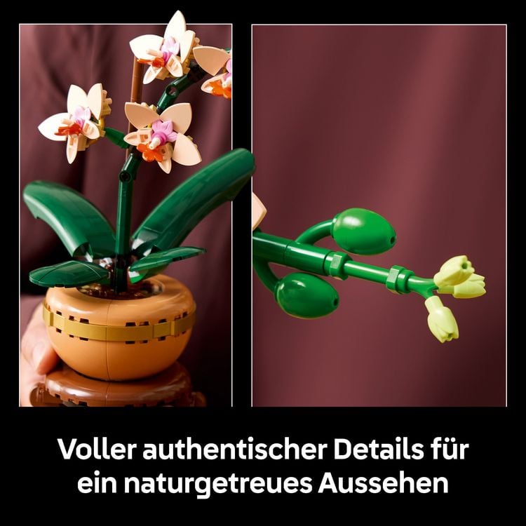 Produktbild: LEGO Botanicals 10343 Mini-Orchidee, Kunstblumen Set f&uuml;r Erwachsene