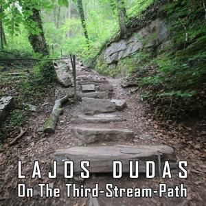 Produktbild: On the third-stream path