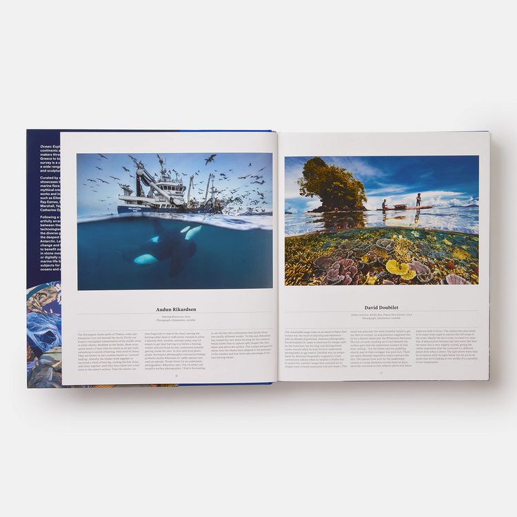 Produktbild: Ocean, Exploring the Marine World