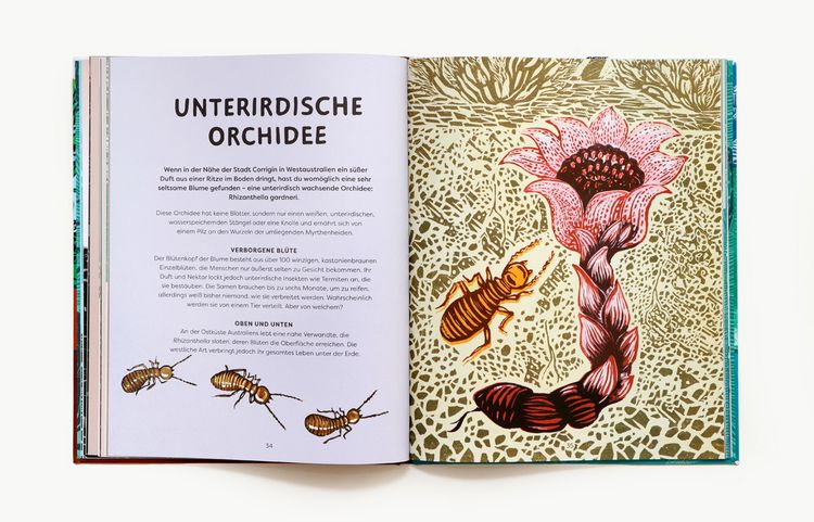 Produktbild: Oben, unten und lange her