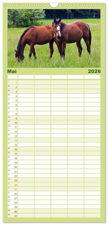 Produktbild: Familienplaner 2026 - Faszination Pferde mit 5 Spalten (Wandkalender, 21 x 45 cm) CALVENDO