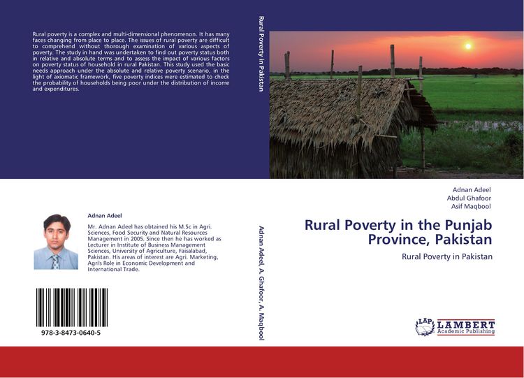 Produktbild: Rural Poverty in the Punjab Province, Pakistan