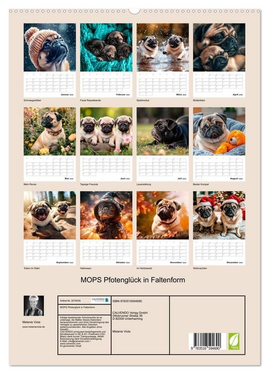 Produktbild: MOPS Pfotengl&uuml;ck in Faltenform (hochwertiger Premium Wandkalender 2026 DIN A2 hoch), Kunstdruck in Hochglanz