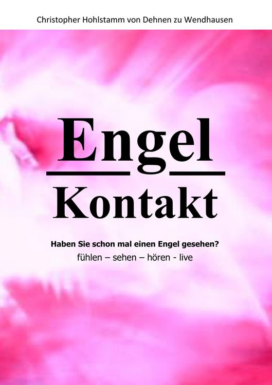 Produktbild: Engel Kontakt - Haben Sie schon mal einen Engel gesehen