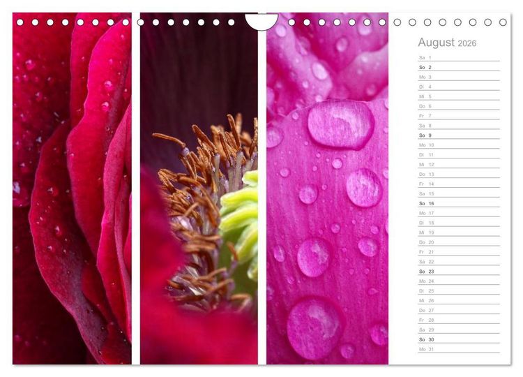 Produktbild: Nat&uuml;rlicher Dreiklang (Wandkalender 2026 DIN A4 quer), CALVENDO Monatskalender