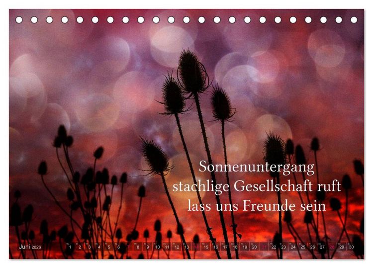 Produktbild: Haiku - Gedichte in 17 Silben (Tischkalender 2026 DIN A5 quer), CALVENDO Monatskalender