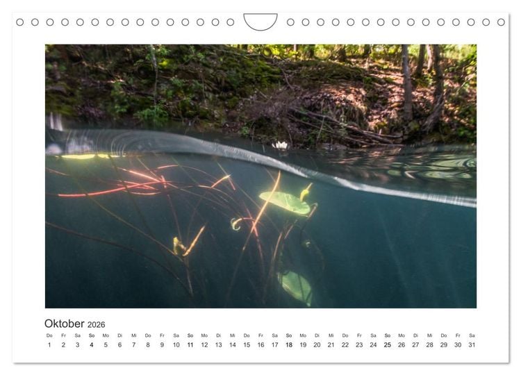 Produktbild: Unter Wasser in B&auml;chen und Fl&uuml;ssen (Wandkalender 2026 DIN A4 quer), CALVENDO Monatskalender