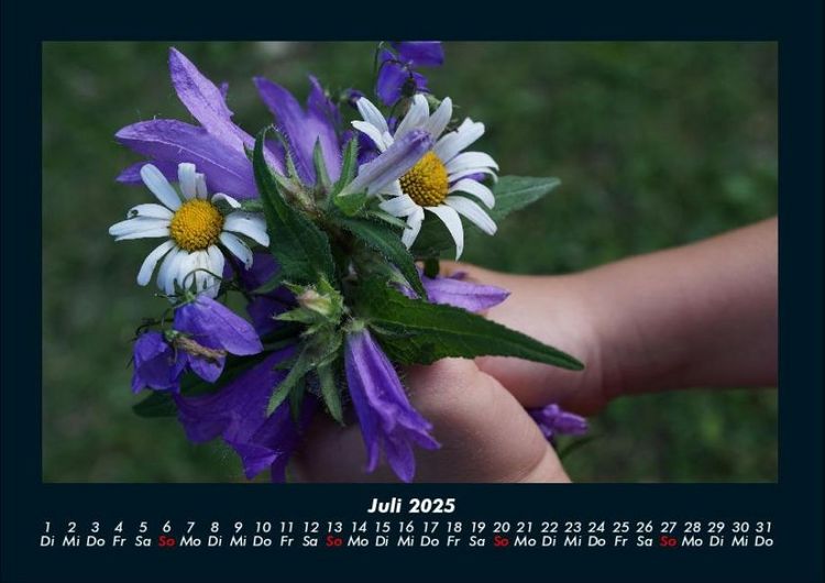 Produktbild: Blumentr&auml;ume 2025 Fotokalender DIN A4