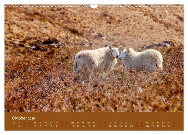 Produktbild: Unter Schafen - Wegbegleiter auf Reisen (Wandkalender 2026 DIN A3 quer), CALVENDO Monatskalender