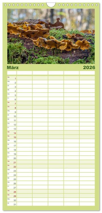 Produktbild: Familienplaner 2026 - Pilze in den Herbstw&auml;ldern mit 5 Spalten (Wandkalender, 21 x 45 cm) CALVENDO