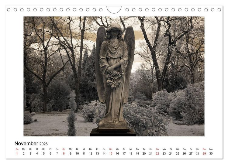 Produktbild: your guardian angel - Dein Schutzengel f&uuml;r jeden Tag (Wandkalender 2026 DIN A4 quer), CALVENDO Monatskalender