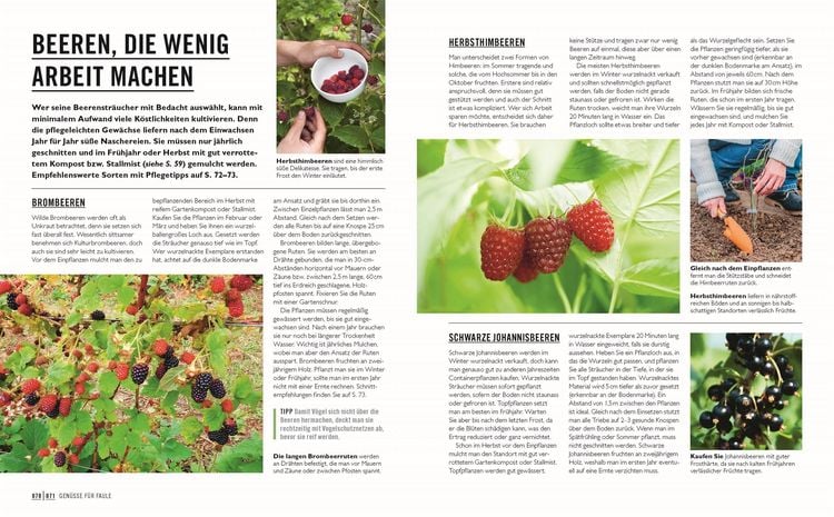 Grünes Gartenwissen. Gärtnern mit wenig Aufwand