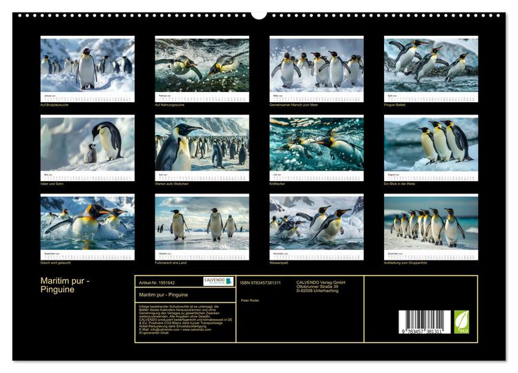 Produktbild: Maritim pur - Pinguine (hochwertiger Premium Wandkalender 2026 DIN A2 quer), Kunstdruck in Hochglanz