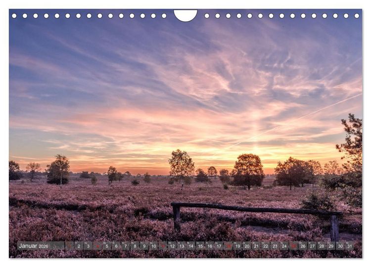Produktbild: Die L&uuml;neburger Heide - In voller Bl&uuml;te (Wandkalender 2026 DIN A4 quer), CALVENDO Monatskalender