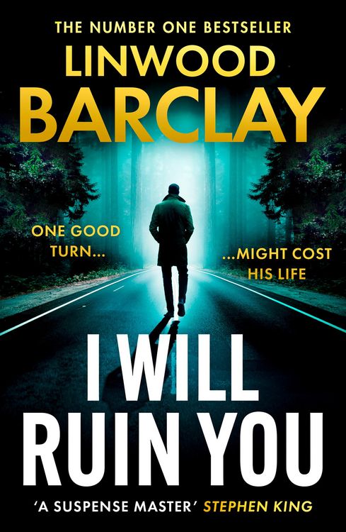 Produktbild: I Will Ruin You