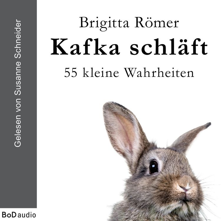 Produktbild: Kafka schl&auml;ft