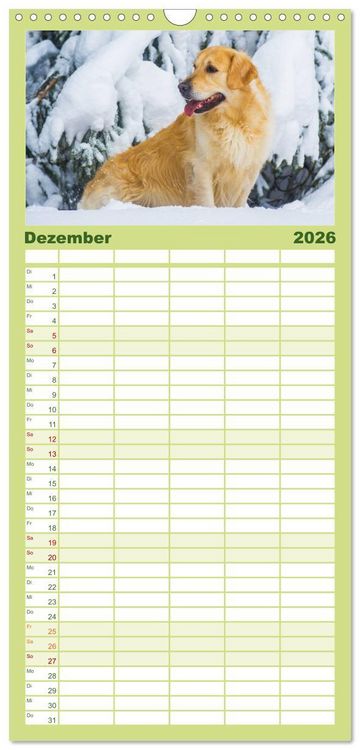 Produktbild: Familienplaner 2026 - Das Gl&uuml;ck hat einen Namen - Golden Retriever mit 5 Spalten (Wandkalender, 21 x 45 cm) CALVENDO