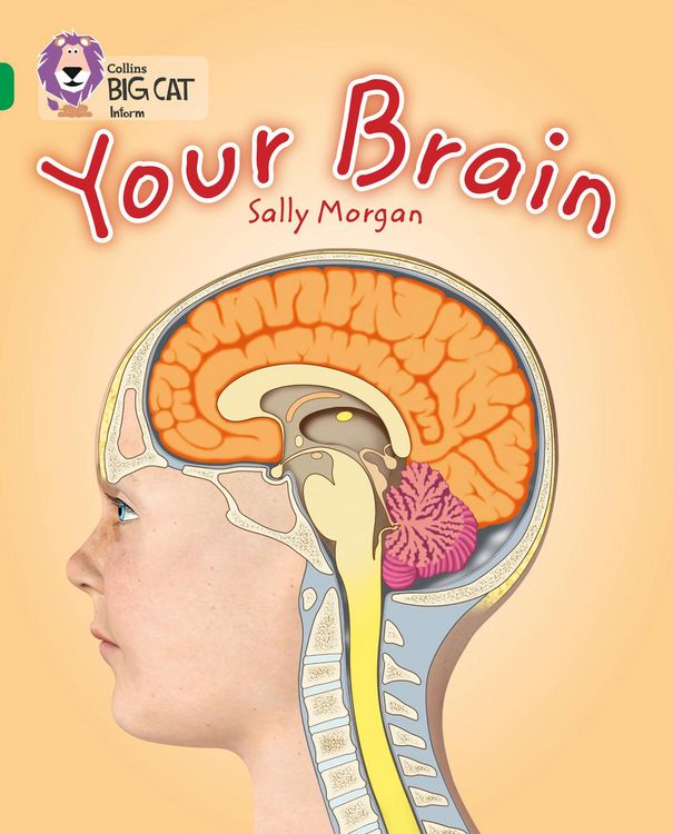 Produktbild: Your Brain