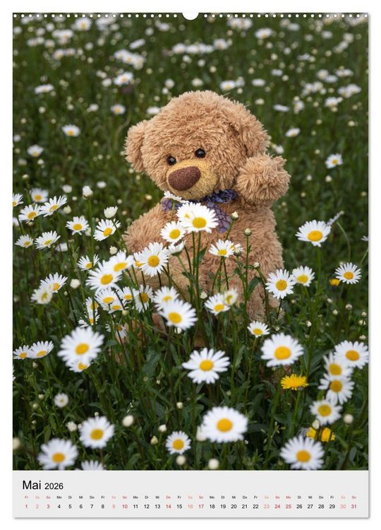 Produktbild: Travelling Teddy liebt es Bunt (Wandkalender 2026 DIN A2 hoch), CALVENDO Monatskalender