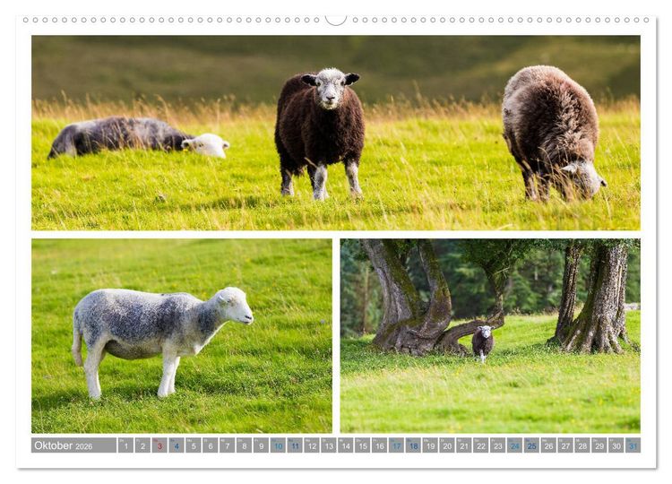 Produktbild: Sehnsucht Wales - Collagen eines Landes (Wandkalender 2026 DIN A2 quer), CALVENDO Monatskalender