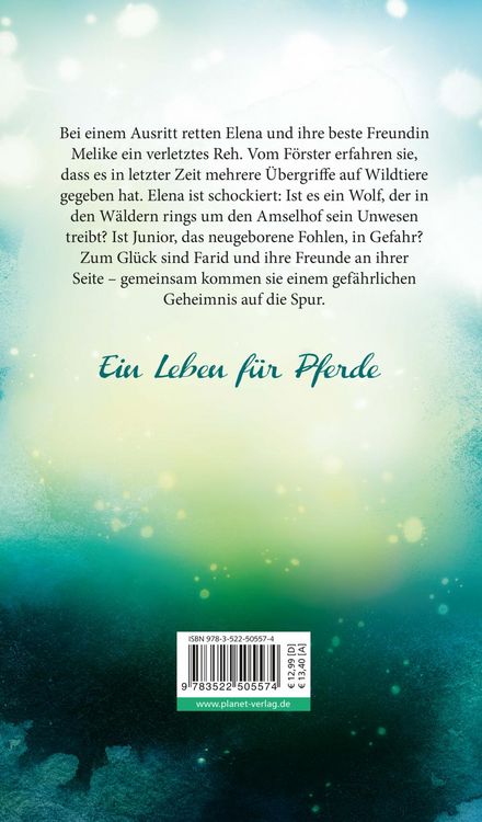 Produktbild: Elena &ndash; Ein Leben f&uuml;r Pferde 6: Eine falsche F&auml;hrte