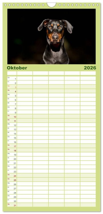 Produktbild: Familienplaner 2026 - Dobermann mit 5 Spalten (Wandkalender, 21 x 45 cm) CALVENDO