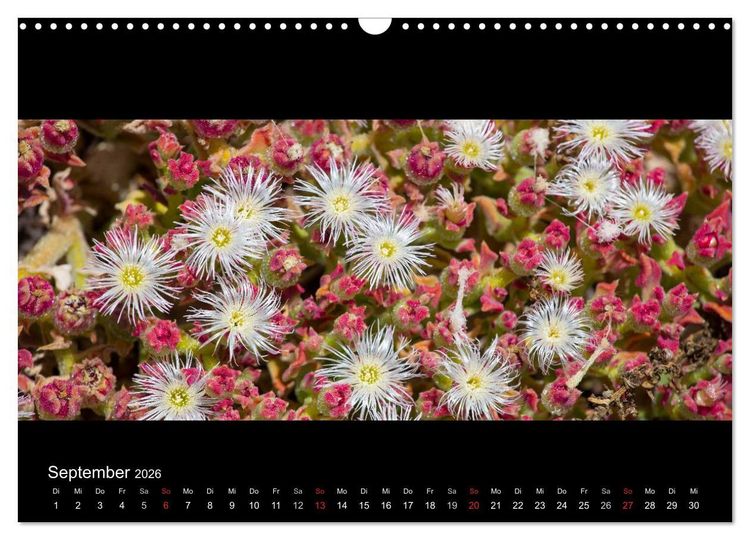 Produktbild: La Gomera - Kanarisches Naturparadies (Wandkalender 2026 DIN A3 quer), CALVENDO Monatskalender
