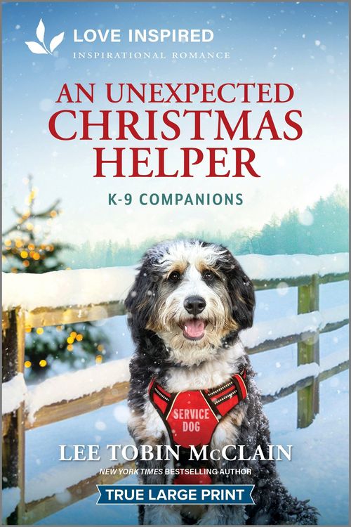 Produktbild: An Unexpected Christmas Helper