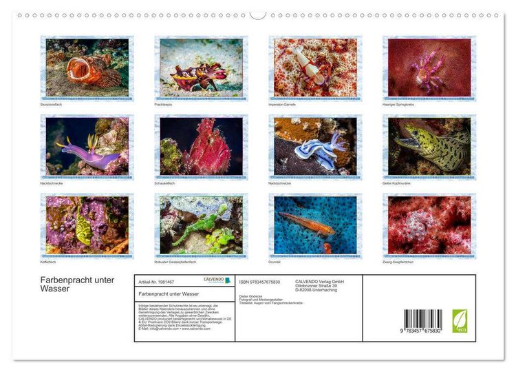 Produktbild: Farbenpracht unter Wasser (hochwertiger Premium Wandkalender 2026 DIN A2 quer), Kunstdruck in Hochglanz