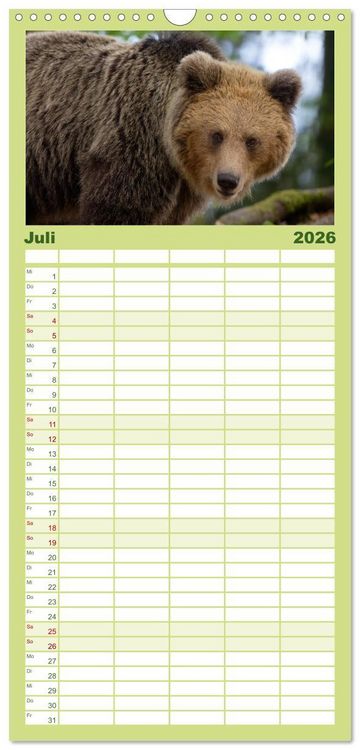 Produktbild: Familienplaner 2026 - Lautlos in den W&auml;ldern Sloweniens mit 5 Spalten (Wandkalender, 21 x 45 cm) CALVENDO