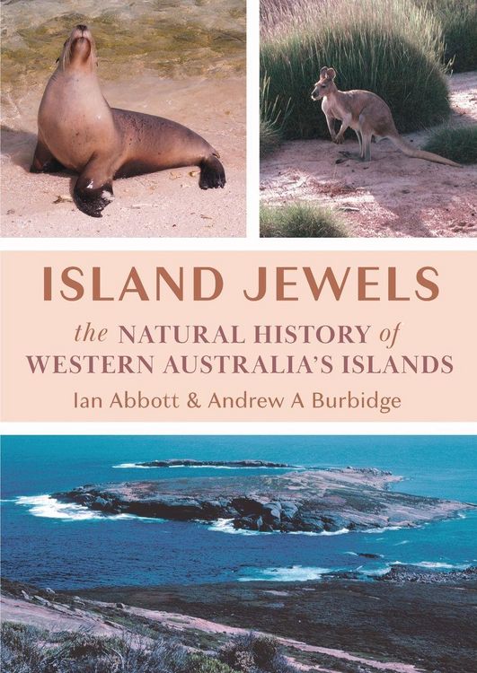 Produktbild: Island Jewels