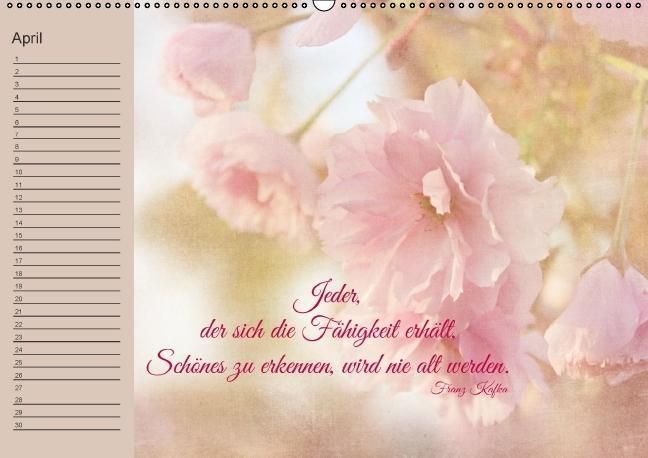 Produktbild: Spruchreifer Geburtstagskalender (Wandkalender immerw&auml;hrend DIN A2 quer)