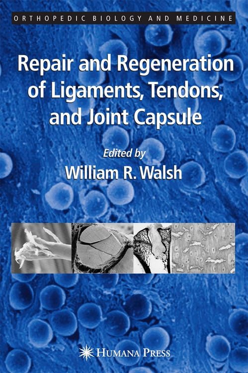 Produktbild: Repair and Regeneration of Ligaments, Tendons, and Joint Capsule