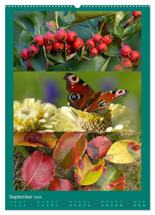 Produktbild: Mein Gartenjahr - Mit der Kamera unterwegs in G&auml;rten und Parkanlagen (Wandkalender 2026 DIN A2 hoch), CALVENDO Monatskalender