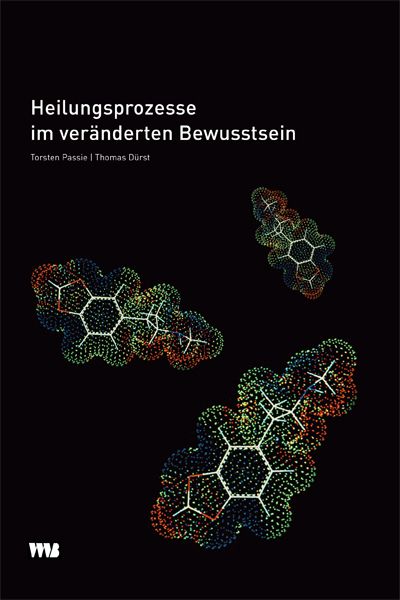 Produktbild: Heilungsprozesse im ver&auml;nderten Bewusstsein